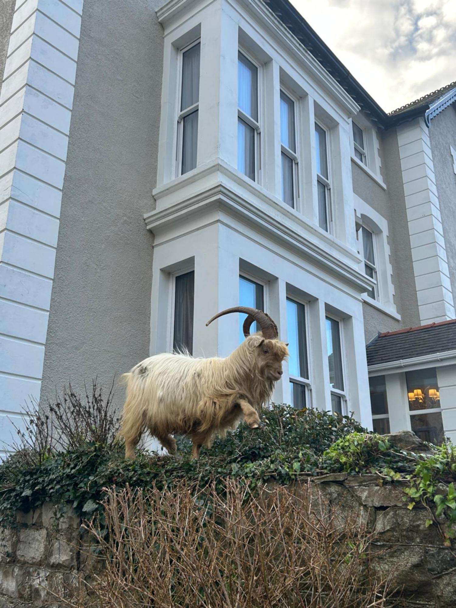 Lansdowne House With Private Car Park Hotel Llandudno Luaran gambar